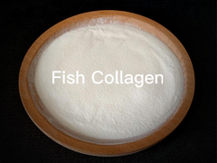 Fischkollagen Marine Kollagenpeptide Hydrolysiertes Kollagen Typ 1