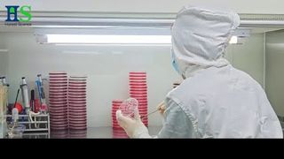 ELASEM® Eggshell Membrane Series: Die Rohstofflösung für Gelenkgesundheit und Schönheit
