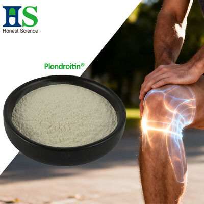 Veganer Chondroitin-Hersteller | Lieferant von 100 % pflanzlichem Chondroitinsulfat