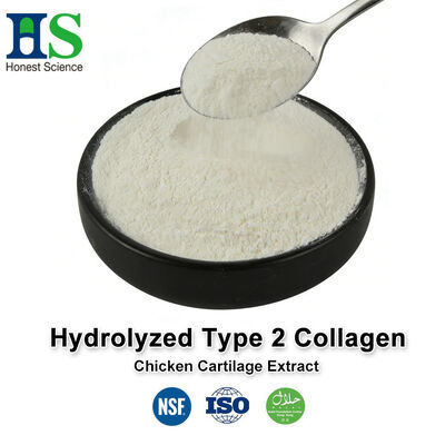 Hydrolysiertes Typ-2-Kollagenpulver in Lebensmittelqualität, Massenversorgung, hochreiner Rohstoff für die Gelenkgesundheit