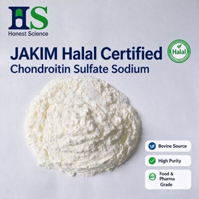 JAKIM Halal-zertifiziertes Rinder-Chondroitinsulfat-Natrium | Pulver der USP-Qualität