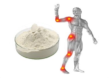 Weiße gemeinsame Sorgfalt Pulver-Haifisch-Chondroitin-Sulfat EP 95% mit GMP/DMF